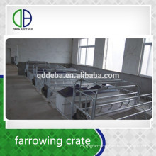 Pig Equipment Hot Galvanize Factory Supply Farrowing To Fattening Pig